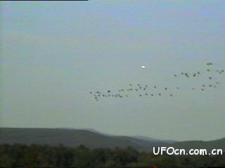 14196218_2007070310040872870700.jpg