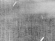 1965.7.17 ͢