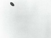 1954.11.2  