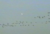 1997.9.27 ŦԼ ɪ