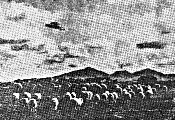 1954 Ĵ