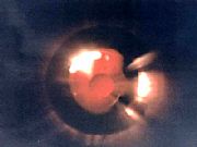 19911112 Ӣ