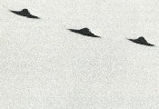 1960926 