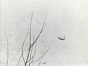 1967.1.9  Ъ