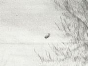 1977.3.10 ӡڰ
