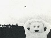 19752 ô