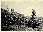 1920  