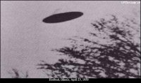 1950423 